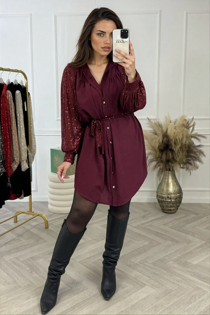 Isla Curvy Sleeves Dress