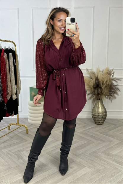 Isla Curvy Sleeves Dress