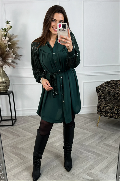Isla Curvy Sleeves Dress