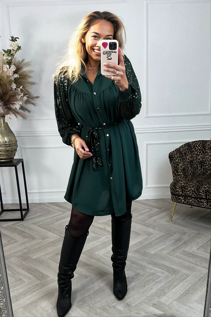 Isla Curvy Sleeves Dress